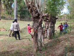Pendampingan Vaksinasi Dan Pencegahan PMK, Bhabinkamtibmas Telaga Bertong Lakukan Ini