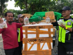 Tim Puma 2 Gagalkan Selundupan 1100 Pics Terumbu Karang