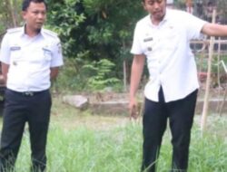 Makassar, Pantau Langsung Lokasi Media Tanam   