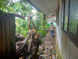 Rawang Tumbang, Pohon Besar Membahayakan Guru dan Murid Sekolah TK Multazam Garessi