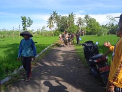 Warga Desa Persiapan Batu Asak Gotong Royong Perbaiki Jalan dan Jembatan