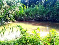 Kolam Penampungan Limbah Jebol, Apakah PT PSL Akan Kena Sanksi Tegas?   