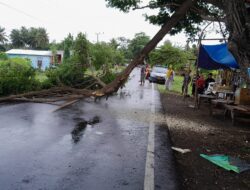 Sigap, Personel Polsek Buer Bantu Evakuasi Pohon Tumbang Yang Melintang Di Jalan Raya