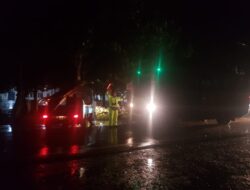 Cuaca Ekstrim Menyebabkan Pohon Tumbang Dan Menimpa Kendaraan Roda Empat Di Kopang