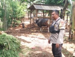 Sambangi Warga Binaan Bhabinkamtibmas Himbau Peternak Waspada PMK