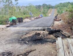 KTM Atau Kota Terpadu Mandiri Gerbang Mas Perkasa Mimpi Dipaksakan