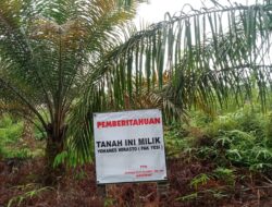 Yohanes, Penggugat Adalah Pemilik Tanah Yang Sah Sesuai SHM