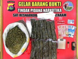 Kembali Sat Resnarkoba Polresta Mataram Amankan, 5 Kilogram Ganja dan Belasan Gram Sabu