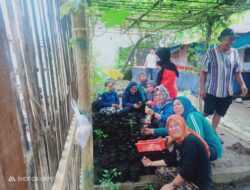 Manfaatkan Hari Libur, Lurah Lembo Kecamatan Tallo Lakukan Kerja Bakti dan Penanaman Bawang