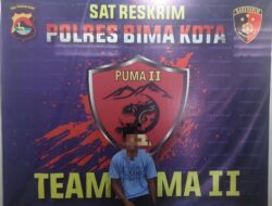 Tim Puma 2 Bekuk Pria Bejat, Tega Setubuhi Paksa Ponakan Hingga Hamil