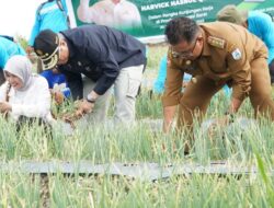 Wamen Akan Terus Kembangkan Food Estate di Majene