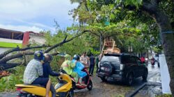 Akibat Hujan Deras Disertai Angin Kencang Sebuah Pohon Tumbang ke Jalan Raya, Polsek Pratim Bantu Evakuasi*