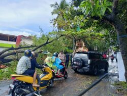 Akibat Hujan Deras Disertai Angin Kencang Sebuah Pohon Tumbang ke Jalan Raya, Polsek Pratim Bantu Evakuasi*