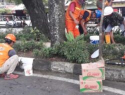 Camat Rappocini Bersama Sekcam pantau langsung penataan taman di wilayahnya