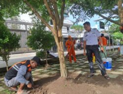 Camat Tallo Pantau Langsung Pembenahan Taman Kota di Jalan Ade Irma Nasution