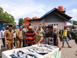 Wali Kota Danny Pimpin Langsung Kesiapan Kedatangan Presiden RI di Makassar