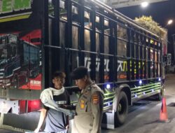 Antisipasi PMK, Tim Gabungan Lakukan Penyekatan Hewan Ternak Di Pelabuhan Poto Tano