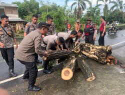 Polsek Praya Barat Evakuasi Pohon Tumbang Setelah Diguyur Hujan Lebat