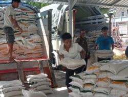 1.708 Penerima Bantuan Cadangan Pangan Pemerintah di Salurka Pemdes Barejulat.