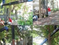 Tegas !! Dinas PU Kota Makasar Kembali Lagi Cabut Fiber Optik