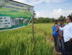 Enam Kabupaten Bakal Terima Combine Harvester, Akmal: di Mamuju Akan Ditempatkan di Desa Bonde