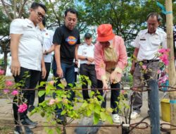 Galakkan Penghijauan, Ketua TP PKK Makassar Harap Hutan Kota Bertambah
