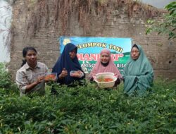 Manfaatkan Lahan Tidur, Warga Mariso Hasilkan Rp500 Ribu dari Menanam Cabai