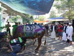 Danny Pomanto Saksikan Pemotongan Hewan Kurban dan Gelar Open House