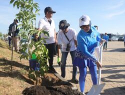 Ratusan Pohon Tabebuya Bakal Ditanam Saat Gelaran APEKSI XVI di Makassar