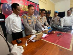 Tim Opsnal Sat Resnarkoba, Tangkap Pemilik 1,8 Kilogram Lebih Ganja Kering Siap Edar