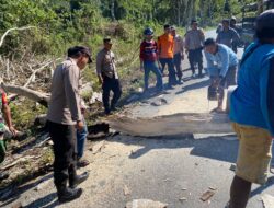 Ganggu Pengguna Jalan, Kapolsek Brang Rea dan Anggota Bantu Masyarakat Pidahkan Pohon Tumbang