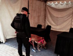 Anjing Pelacak K9 Polda NTB streilisasi Sirkuit MotoGP Mandalika*