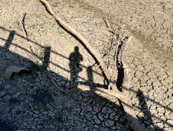 Krisi Air di Kota Makassar Kian Parah,Warga Berjibaku Mencari Air Bersih