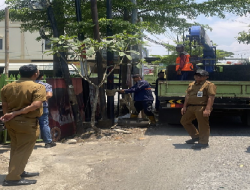 Kolaborasi Dinas PU dan Komisi C Cabut Tiang Kabel Fiber Optik Yang Tidak Memiliki Izin Resmi