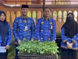 Plt Camat Bontoala Terima Bantuan Bibit Cabe