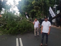 Kecamatan Bontoala Lakukan Penanganan Pohon Tumbang di Depan SMA Negeri 1 Makassar