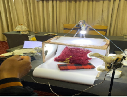 Dispar Makassar  Melakukan Tahan Kedua Program Inkubasi Untuk Mendukung Pertumbuhan Ekonimo Kreatif Kota Makassar