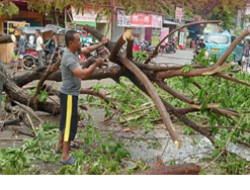 Satgas Bontoala dan DLH Pangkas Pohon Tumbang di Kelurahan Parang Layang