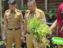 Kepala DKP Makassar Panen Sayuran di KWT Lamung-Lamung Tallasa