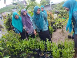 Ketua TP-PKK Kecamatan Sangkarrang Betkunjung Ke Warga Kelurahan Kodingareng untuk Percepatan Penurunan Stunting