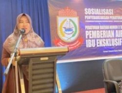 Legislator Makassar Fatma Wahyuddin Ingatkan para Ibu untuk Tidak Memberikan Susu Formula Tapi Beri ASI Eksklusif