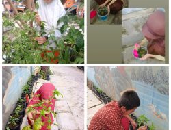 UPT SPF SDI Pannampu I Makassar Buat Green House Persiapan Adiwiyata Tingkat Provinsi Sulsel