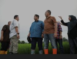 Wali Kota Danny Tegaskan Pemkot Makassar Siapkan Anggaran untuk Akses Jalan Stadion