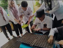 Camat Bontoala Bersama Sekcam Lakukan Kegiatan Penanaman Bibit Cabai di Empat Kelurahan