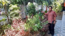 UPT SPF SDN Maradekaya II Makassar Tanam Sayur Bayam Merah Sebagai Ikon Sekolah Menuju Adiwiyata Nasional