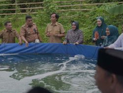 Ketua TP PKK Kota Makassar Tebar Benih Udang Vaname di Tanjung Merdeka