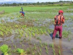 DIDUGA TERINDIKASI PENYALQH GUNAAN KEWENANGAN DI LINGKUNGAN KEPOLISIAN