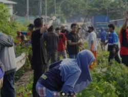 Camat Ujung Tanah Didampingi ekcam Pantau Langsung Kegiatan Sabtu Bersih di Galangan Kapal