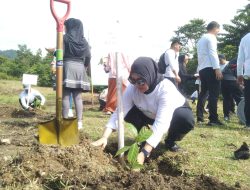 Gerakan Menanam Pohon dan Jalan Santai, Komitmen DPRD Sulbar Bangun Ekosistem Ekonomi Hijau