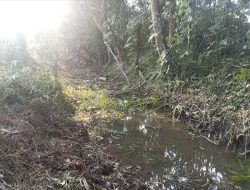 Pagu Dana Lebih Seratus Juta Rupiah Untuk Pekerjaan Normalisasi Sungai Diduga DiKerjakan Asal Jadi